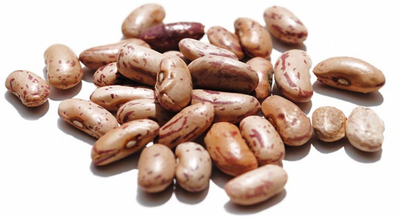 خرید و فروش لوبیا چیتی شمالی با شرایط فوق العاده